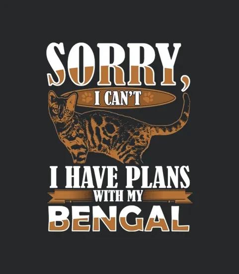 Bengal Cat Pet Animal