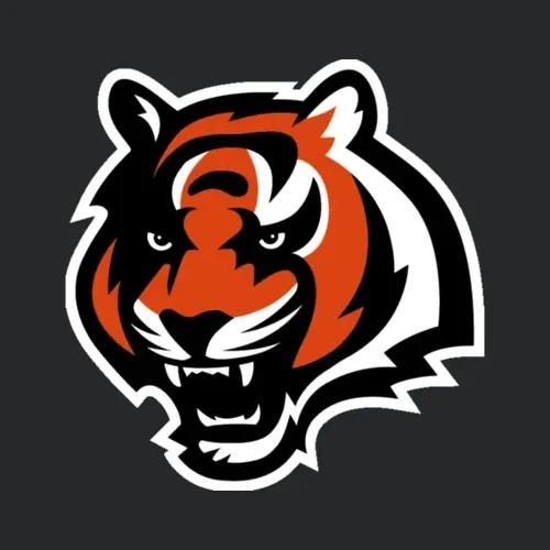 Nfl Logo Black Orange Logo