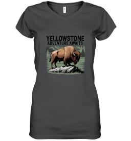 Yellowstone Adventure Awaits