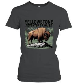 Yellowstone Adventure Awaits