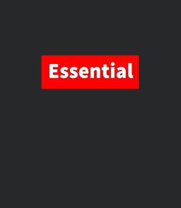 Essential Workers