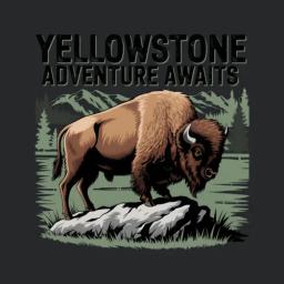 Yellowstone Adventure Awaits