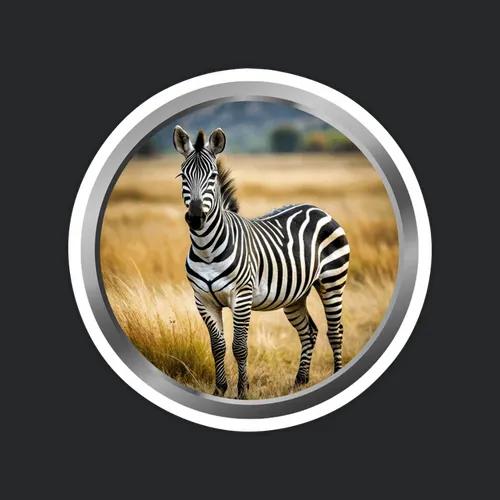 Zebra Animal 4