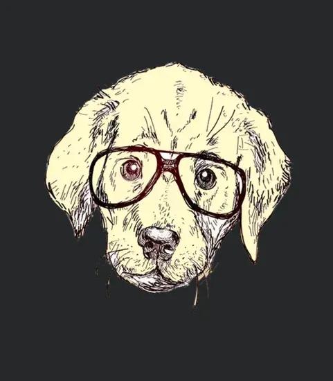 My Mans Best Friend