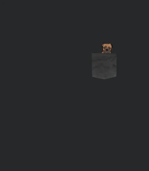 Boxer Dog In Pocket
