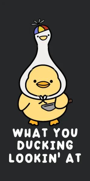 What You Ducking Lookin