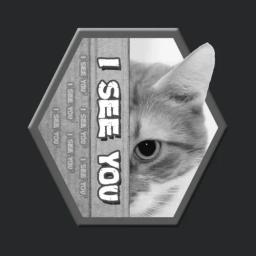 I See You Cat Design