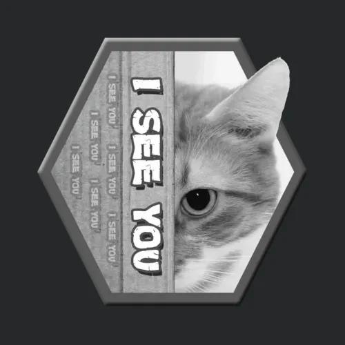 I See You Cat Design