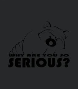 Raccoon Why Are You So Serious