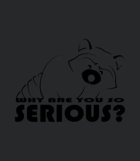 Raccoon Why Are You So Serious