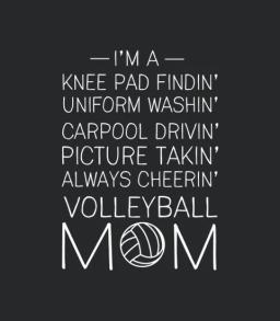 Volleyball Mom Checklist
