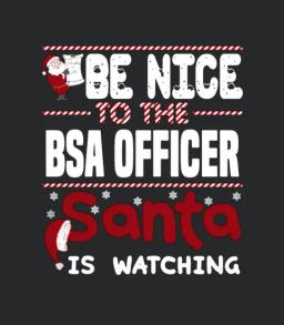 Bsa Officer