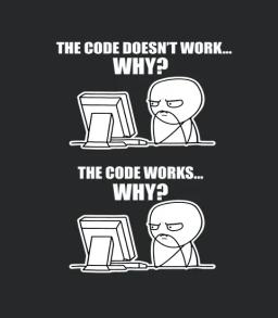 The Code Doesnt Work Why