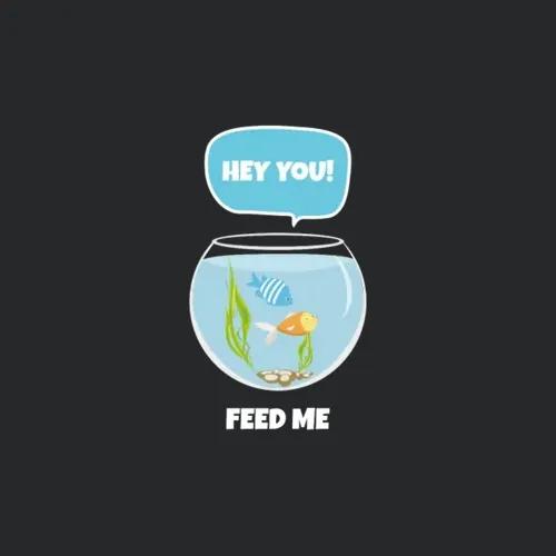 Fish Design