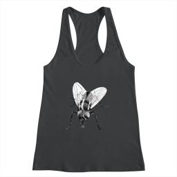 Black Fly Insect