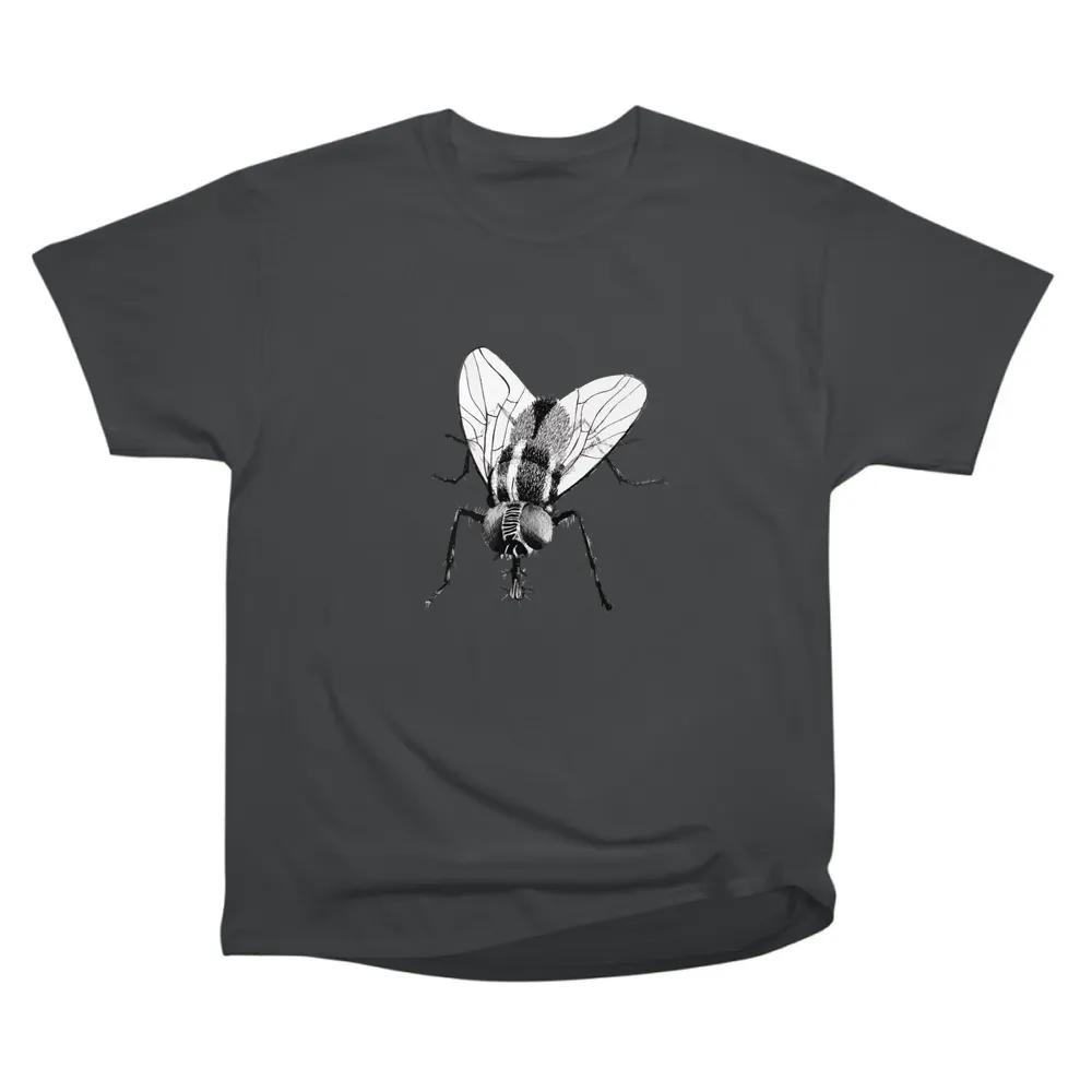 Black Fly Insect