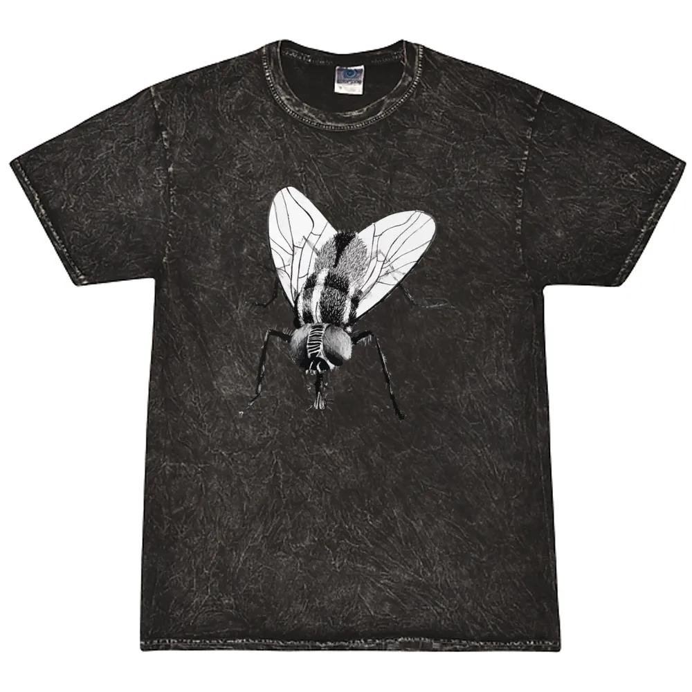 Black Fly Insect