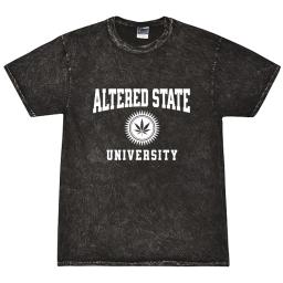 Altered State University