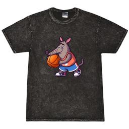 Aardvark Playing Basketball