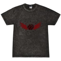 Basketball Logo With Wings