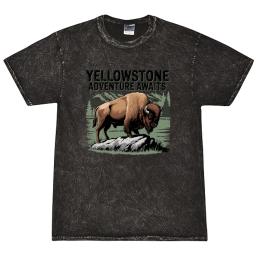 Yellowstone Adventure Awaits