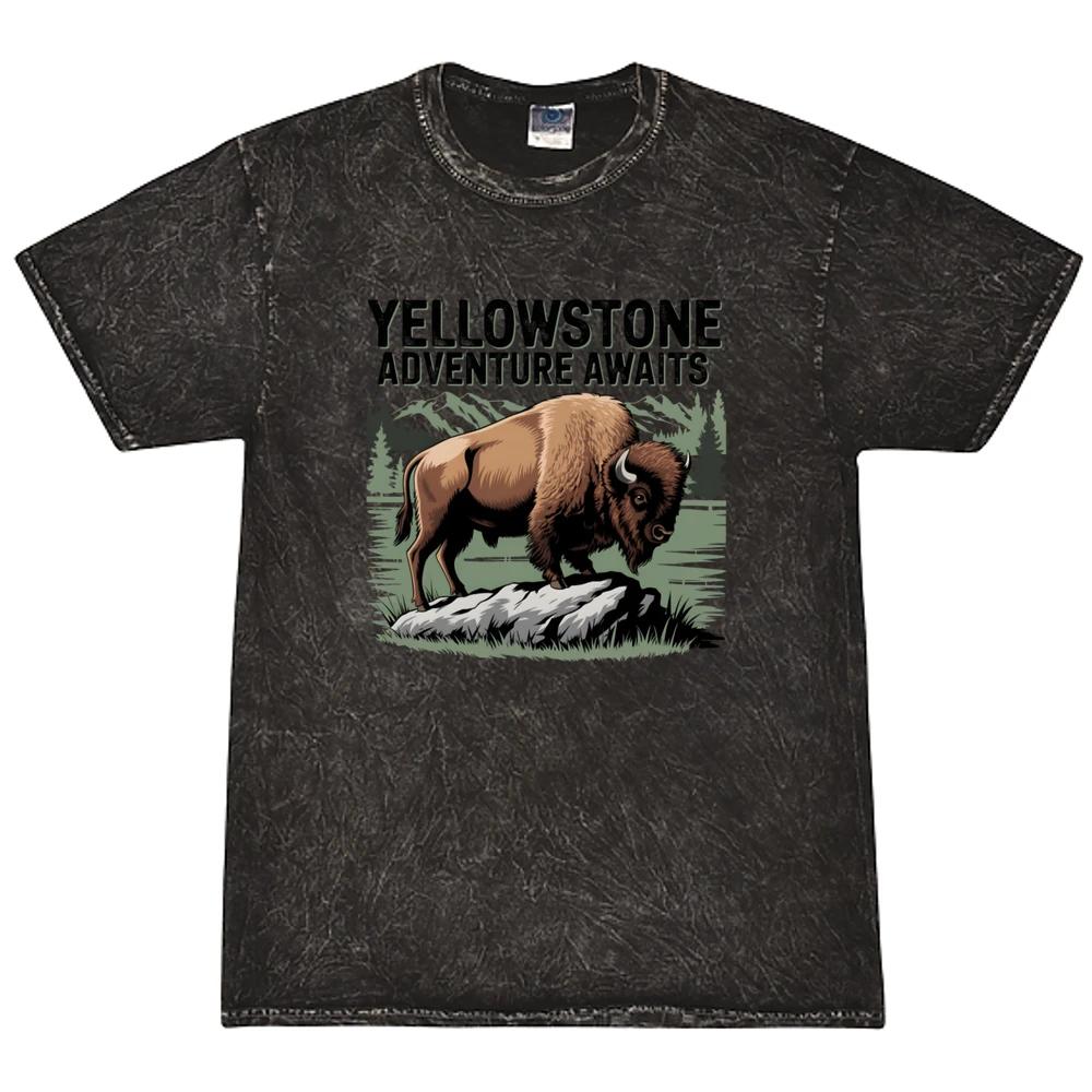 Yellowstone Adventure Awaits