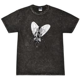 Black Fly Insect