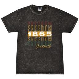 1865 Freedom Tumbler