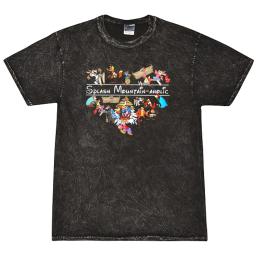Splash Mountain Aholic Heart